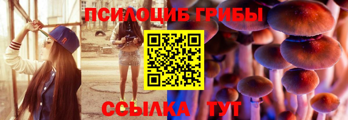 Новодвинск  Псилоцибиновые грибы Psilocybine cubensis  Вход с VPN 